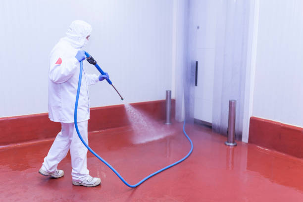 Best Roof Washing  in Greenbrier, AR